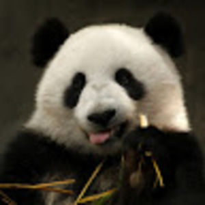 Meet your Posher, Andy